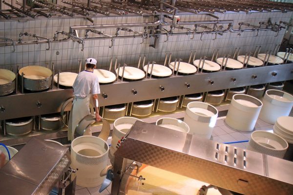 shutterstock_16903015