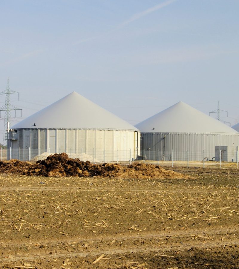 shutterstock_50040145