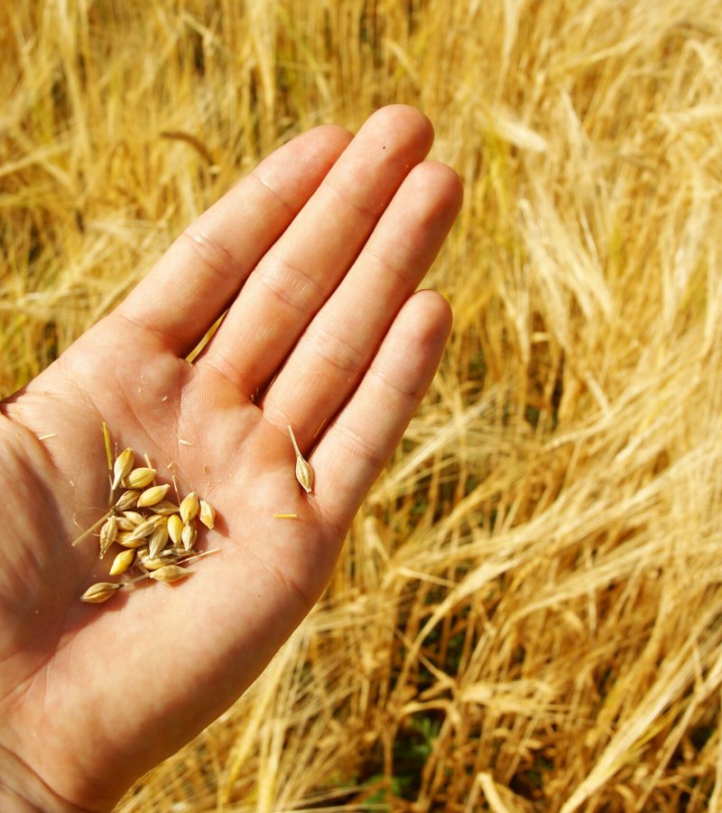 shutterstock_64637491